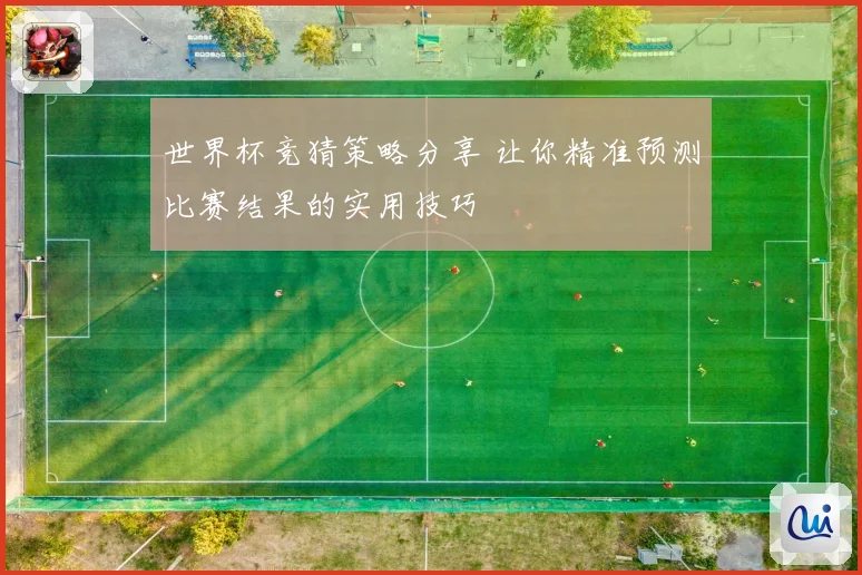 世界杯竞猜策略分享 让你精准预测比赛结果的实用技巧