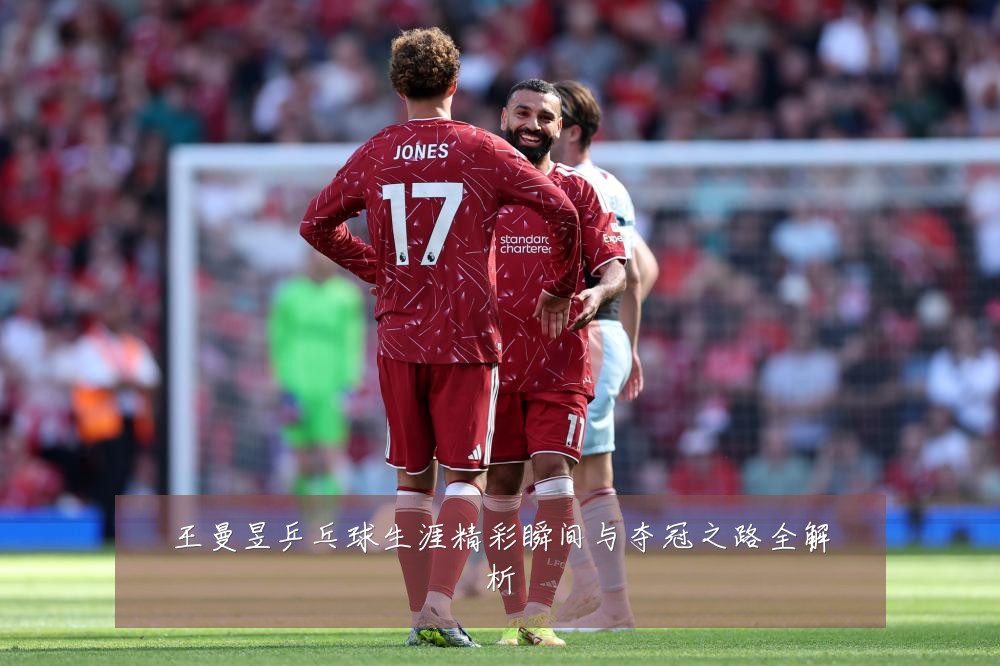 王曼昱乒乓球生涯精彩瞬间与夺冠之路全解析